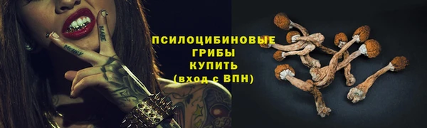 гидропоника Фурманов