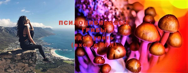 винт Пестово