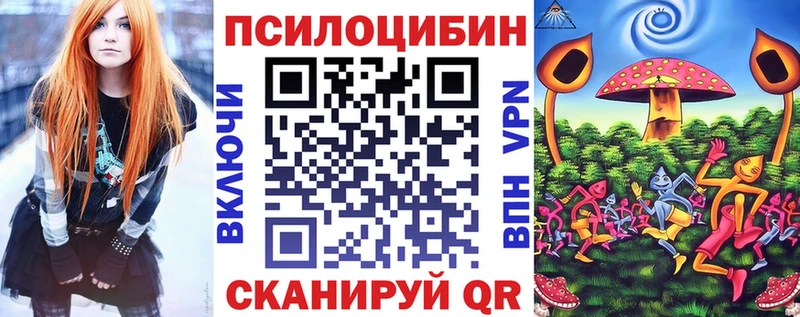 наркошоп  Алдан  mega ссылки  Псилоцибиновые грибы Psilocybe 