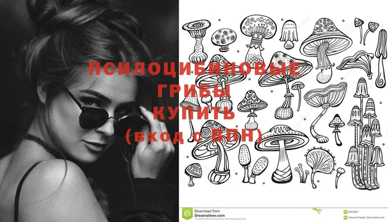 Галлюциногенные грибы Magic Shrooms  мега ССЫЛКА  мориарти телеграм  где купить   Алдан 