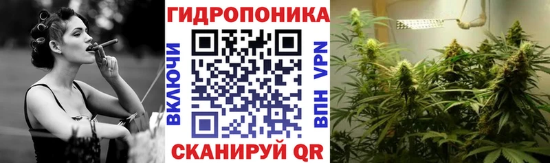 наркота  Алдан  даркнет телеграм  Бошки марихуана MAZAR 